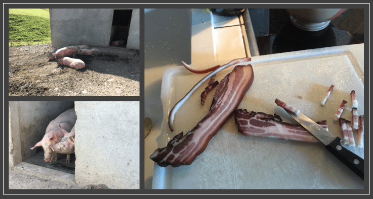 Capture d’écran 2019-08-19 à 12.30.29